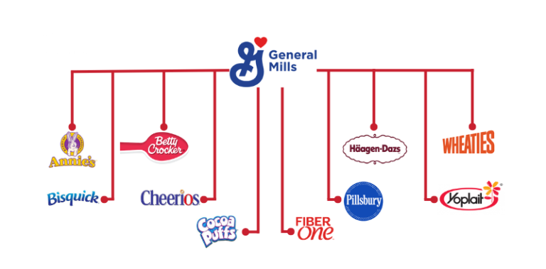 15 Companies That Own Everything You Buy 2024 