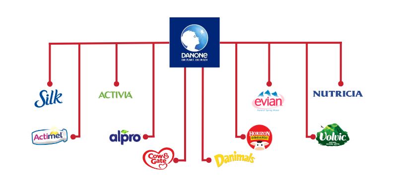 6 Companies Owned by MU