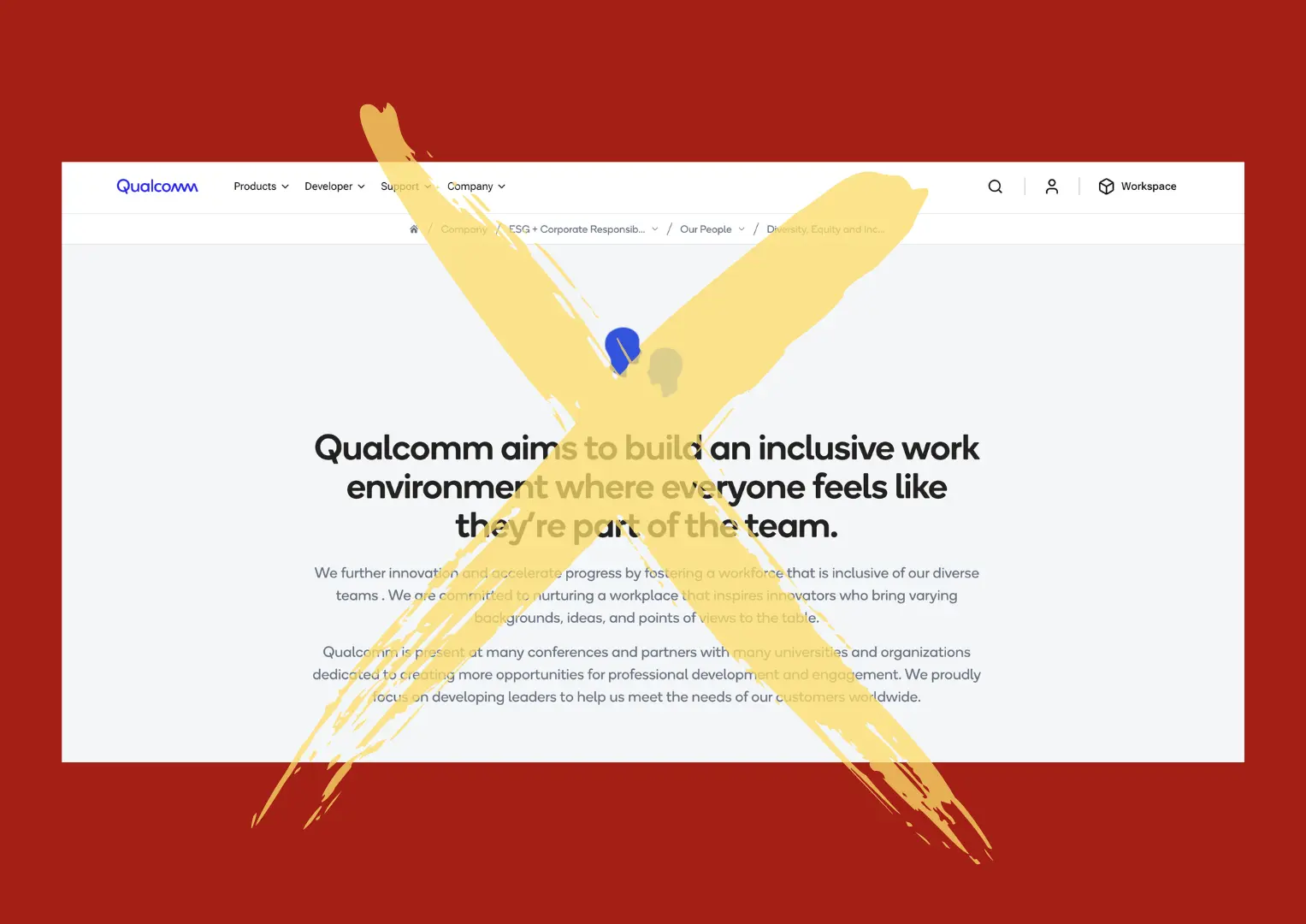 Qualcomm DEI